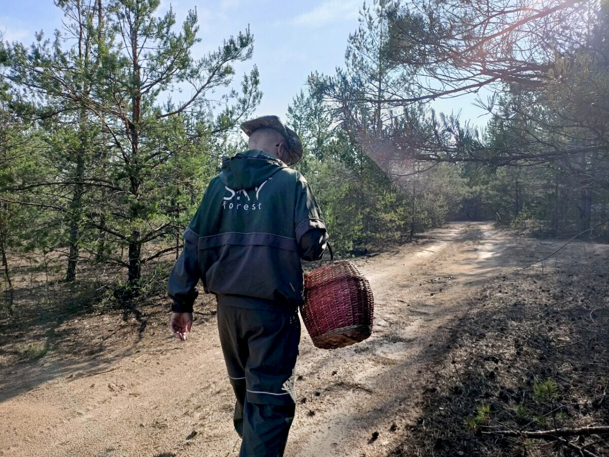 "Увижу — разобью морду" — Сходили в лес с Горбацевичем и узнали секрет "впечатляющего урожая". За что угрожают другие грибники?